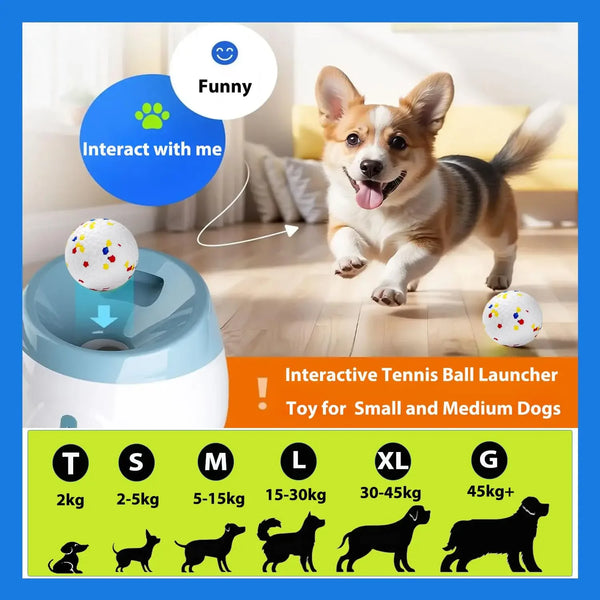 Fun Fetch Dog Ball Launcher